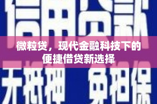 仙游微粒贷，现代金融科技下的便捷借贷新选择