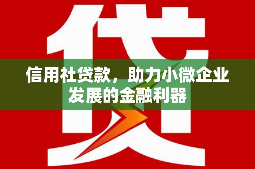 仙游信用社贷款，助力小微企业发展的金融利器