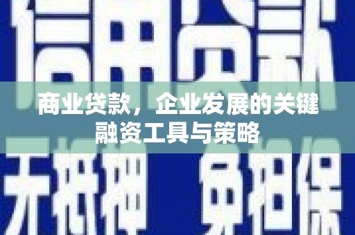 仙游商业贷款，企业发展的关键融资工具与策略