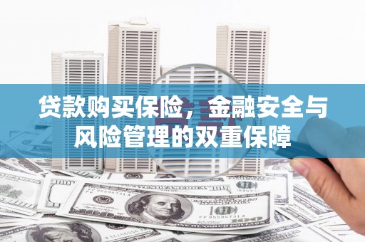仙游贷款购买保险，金融安全与风险管理的双重保障