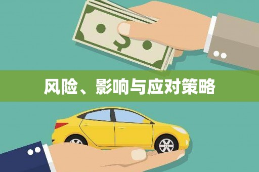 仙游风险、影响与应对策略