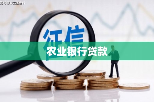 仙游农业银行贷款