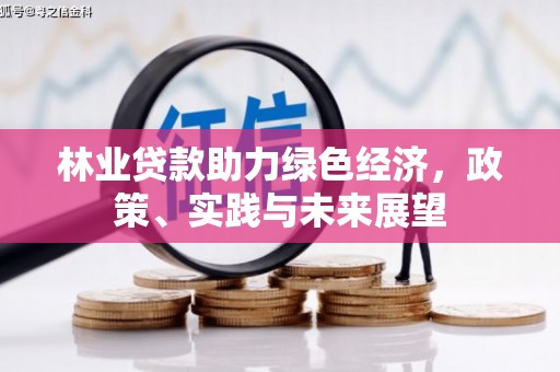 仙游林业贷款助力绿色经济，政策、实践与未来展望