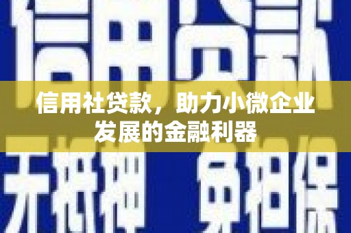 仙游信用社贷款，助力小微企业发展的金融利器