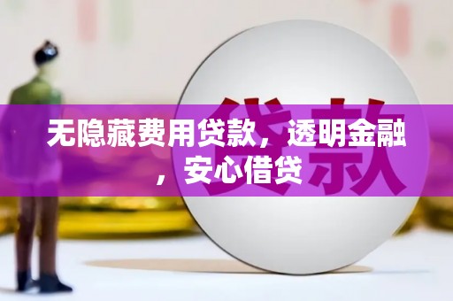 仙游无隐藏费用贷款，透明金融，安心借贷