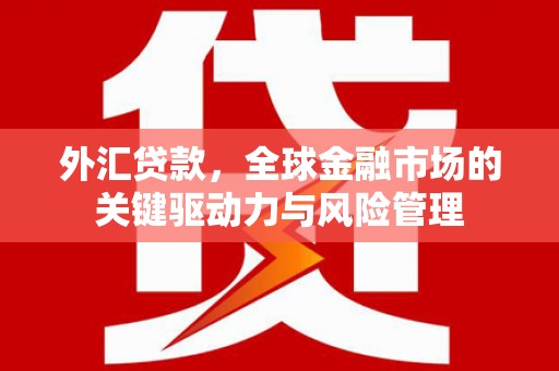 仙游外汇贷款，全球金融市场的关键驱动力与风险管理