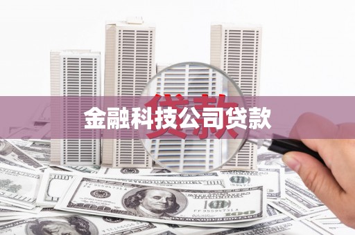 仙游金融科技公司贷款