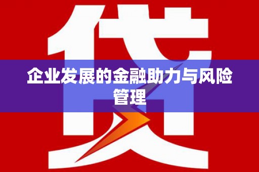 仙游企业发展的金融助力与风险管理
