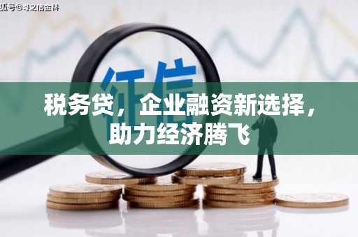 仙游税务贷，企业融资新选择，助力经济腾飞