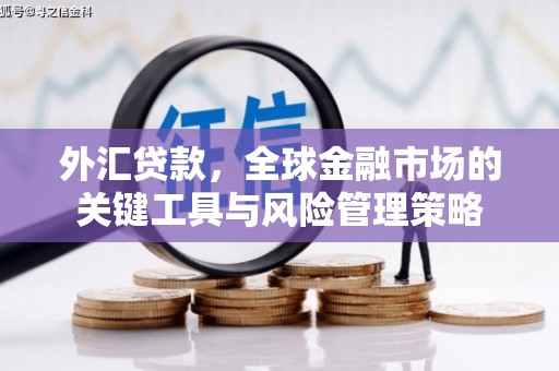 仙游外汇贷款，全球金融市场的关键工具与风险管理策略