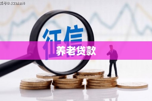 仙游养老贷款