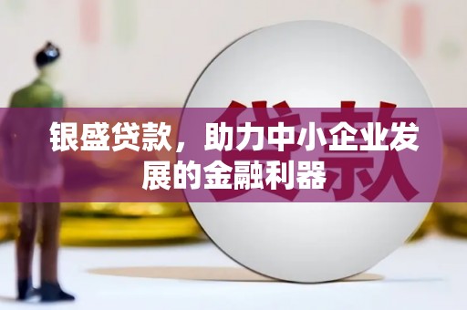 仙游银盛贷款，助力中小企业发展的金融利器
