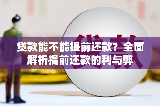 仙游贷款能不能提前还款？全面解析提前还款的利与弊
