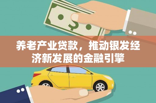 仙游养老产业贷款，推动银发经济新发展的金融引擎