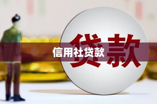 仙游信用社贷款