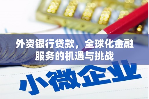 仙游外资银行贷款，全球化金融服务的机遇与挑战