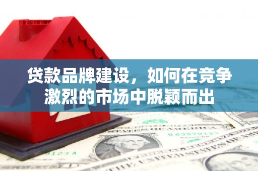 仙游贷款品牌建设，如何在竞争激烈的市场中脱颖而出