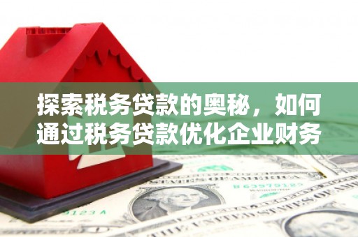 仙游探索税务贷款的奥秘，如何通过税务贷款优化企业财务