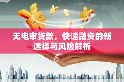 仙游无电审贷款，快速融资的新选择与风险解析