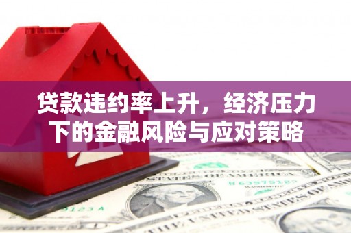仙游贷款违约率上升，经济压力下的金融风险与应对策略