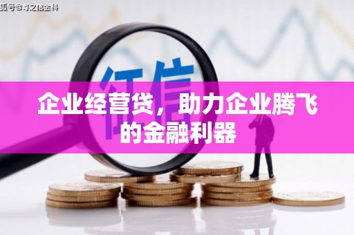 仙游企业经营贷，助力企业腾飞的金融利器