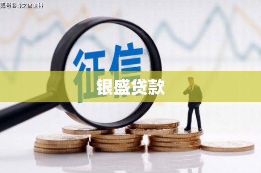 仙游银盛贷款