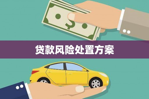 仙游贷款风险处置方案