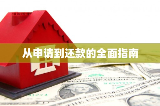 仙游从申请到还款的全面指南
