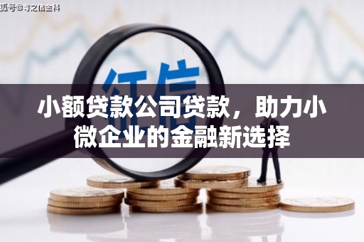 仙游小额贷款公司贷款，助力小微企业的金融新选择