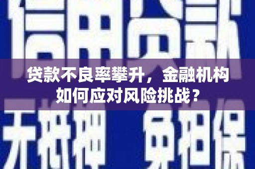 仙游贷款不良率攀升，金融机构如何应对风险挑战？