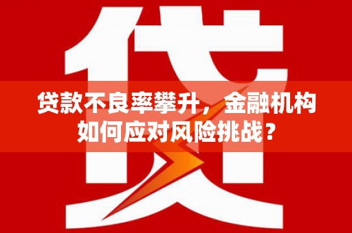 仙游贷款不良率攀升，金融机构如何应对风险挑战？