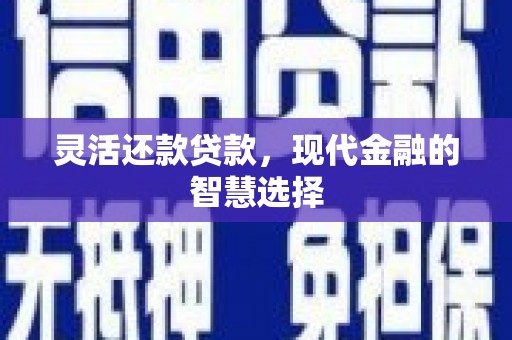 仙游灵活还款贷款，现代金融的智慧选择