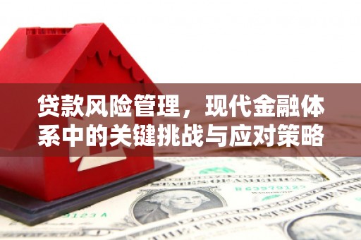 仙游贷款风险管理，现代金融体系中的关键挑战与应对策略