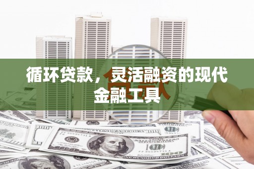 仙游循环贷款，灵活融资的现代金融工具
