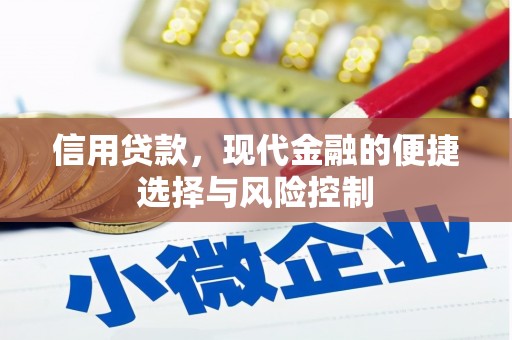仙游信用贷款，现代金融的便捷选择与风险控制