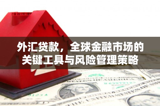 仙游外汇贷款，全球金融市场的关键工具与风险管理策略