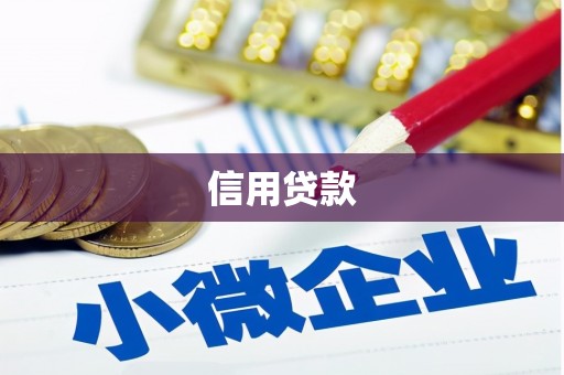 仙游信用贷款