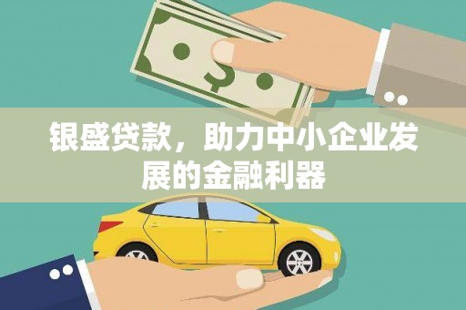 仙游银盛贷款，助力中小企业发展的金融利器