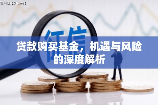 仙游贷款购买基金，机遇与风险的深度解析