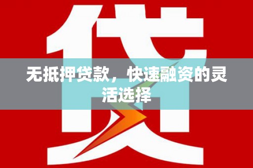 仙游无抵押贷款，快速融资的灵活选择