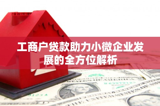 仙游工商户贷款助力小微企业发展的全方位解析