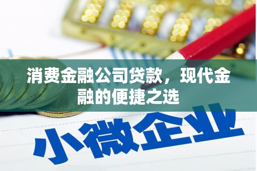 仙游消费金融公司贷款，现代金融的便捷之选