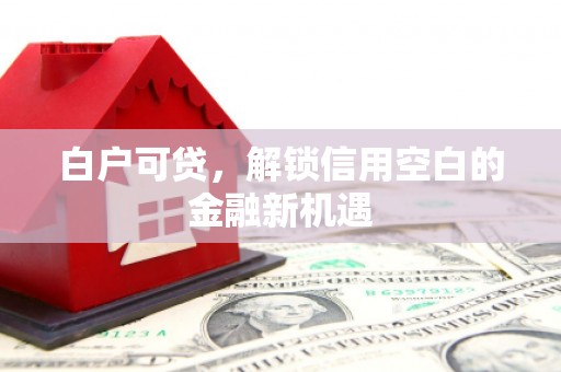 仙游白户可贷，解锁信用空白的金融新机遇