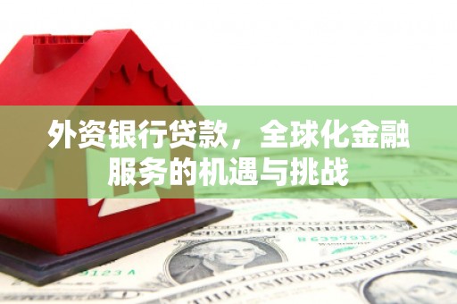 仙游外资银行贷款，全球化金融服务的机遇与挑战