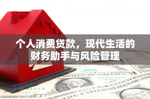 仙游个人消费贷款，现代生活的财务助手与风险管理