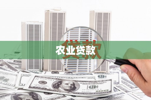 仙游农业贷款