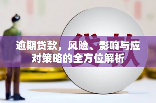 仙游逾期贷款，风险、影响与应对策略的全方位解析