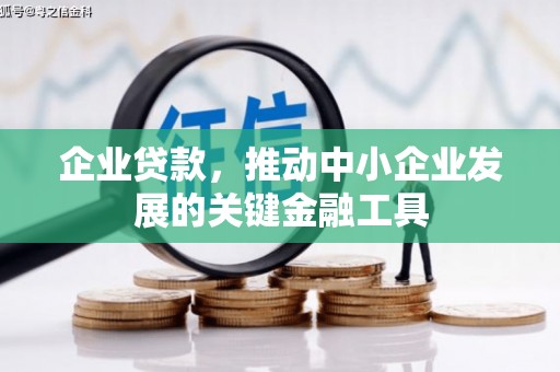 仙游企业贷款，推动中小企业发展的关键金融工具