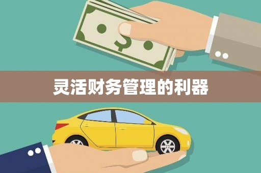 仙游灵活财务管理的利器