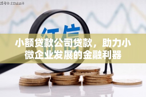 仙游小额贷款公司贷款，助力小微企业发展的金融利器